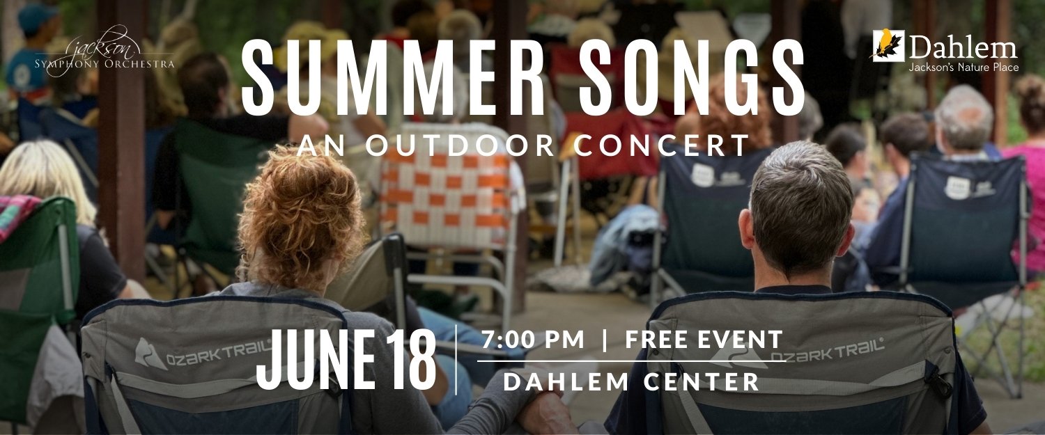 Summer Songs